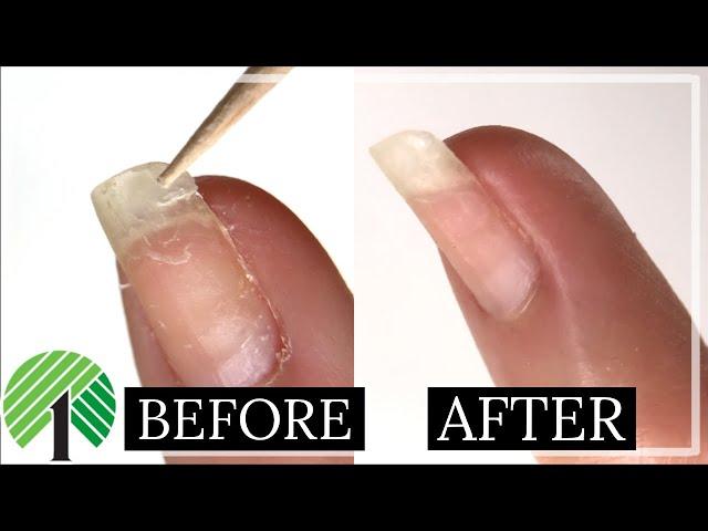 Fix a Broken Nail with Household Items! | Nail Repair Hack WITHOUT a Tea Bag