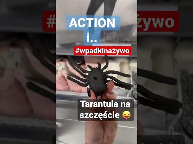 Action #wpadkinażywo #haha #shorts #conowego1313 #śmieszne #conowego #beka #