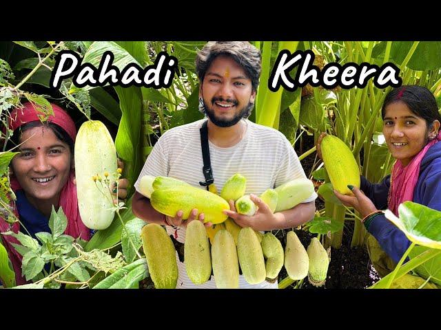 Bhabhi ने ढेर सारी पहाड़ी ककड़ी दे दी  Pahadi Uttarakhand Food | Suyash Aswal