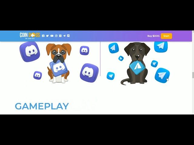 Coin dogs is the most gamified and profit generating platform