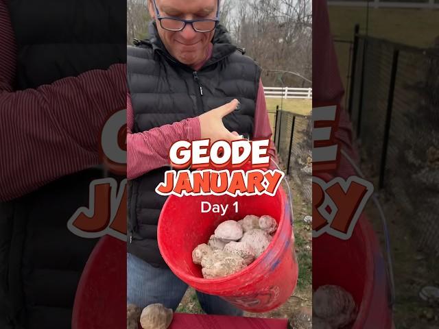 It’s GEODE January Day 1! #geodejanuary #geodeornodule