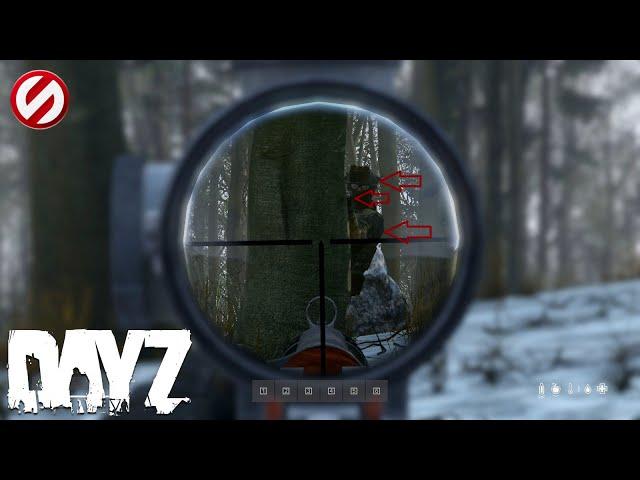 DayZ PVP Tips: How to Survive and Dominate in Player vs Player Combat