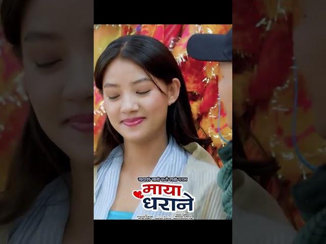 MAYA DHARANE | OmPrakash Gurung, Bimala Khajum, Harka Sampang | Melina Mainali | Nepali Song 2024