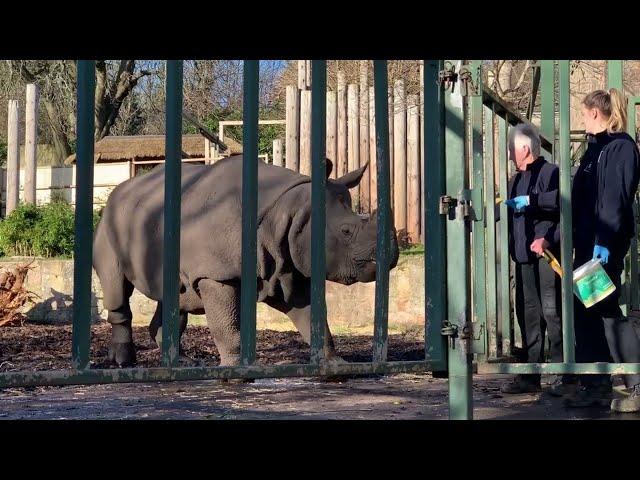 A Day Out at Edinburgh Zoo 13 February 2024