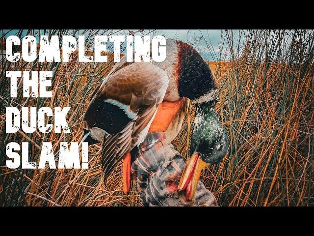 COMPLETING THE DUCKS SLAM IN THE SANDHILLS - NEBRASKA DUCK SEASON 2022-2023