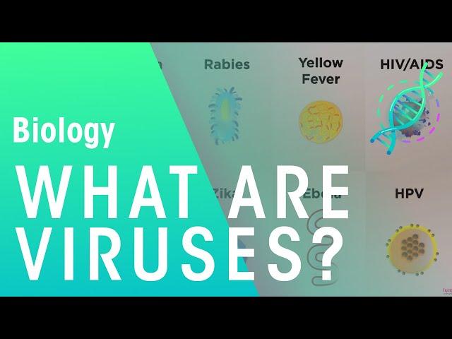 What are viruses | Cells | Biology | FuseSchool