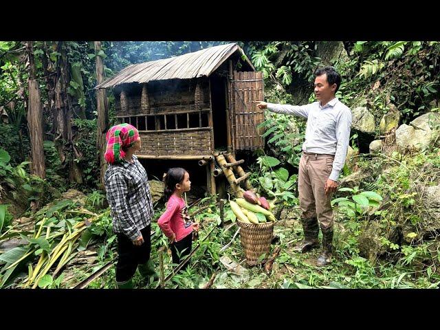 Rich man takes single mother into the forest to harvest luffa, build a new life, orphaned Po