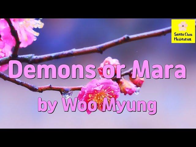 Master Woo Myung - Wisdom Writing - Demons or Mara | Santa Clara Meditation