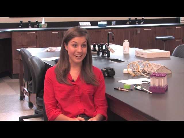 The Undergraduate Research Experience