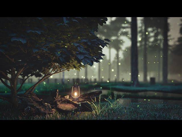 Rainy Dawn Forest Ambience  | Fireflies and Birds Relaxation | Light Rain Sounds