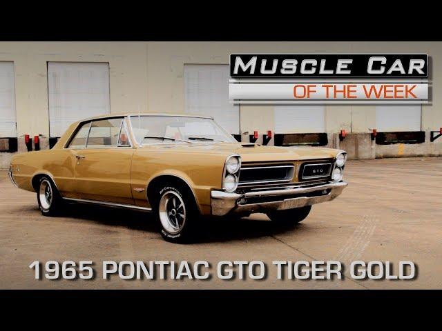 1965 Pontiac GTO Tiger Gold 389 4-Speed Muscle Car Of The Week Video Episode 214