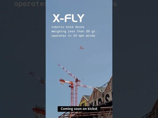 X- Fly : New Robotic Flying Ornithopter Drone from Bionic Bird #ornithopter  #dronetech #biomimicry