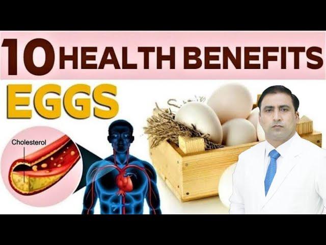 10 HEALTH BENEFITS// EGGS / PROTEIN  / VITAMIN  / Dr Kumar education clinic