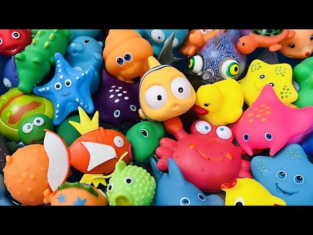 Learn Sea Animal Names and Facts | Sea Animals for Kids | Sea Creatures for Kids | Sea Animal Toys