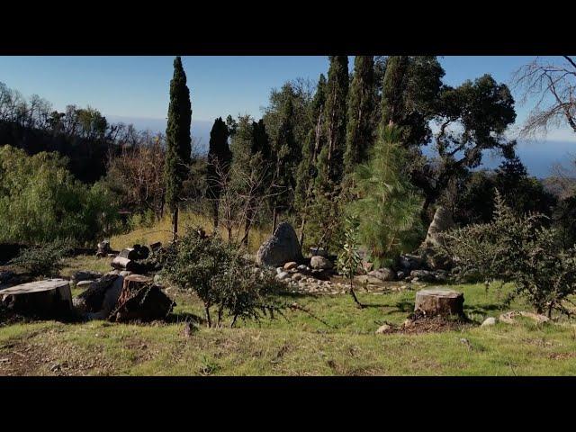 The Mountain Garden at Big Sur