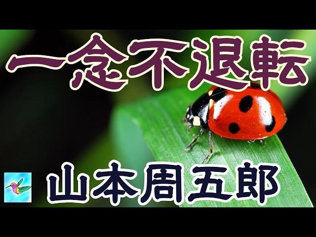 【朗読】　一念不退転　山本周五郎　読み手アリア