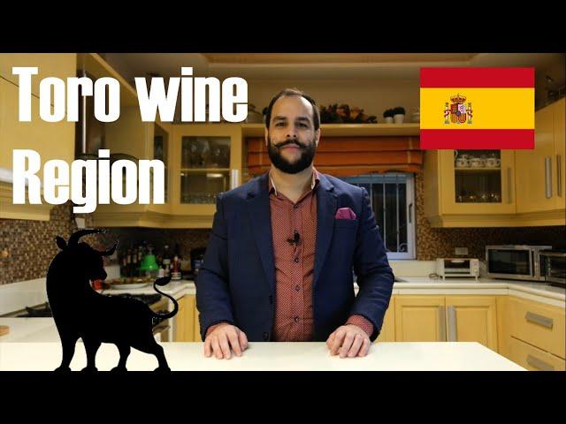 Spain's Toro wine region