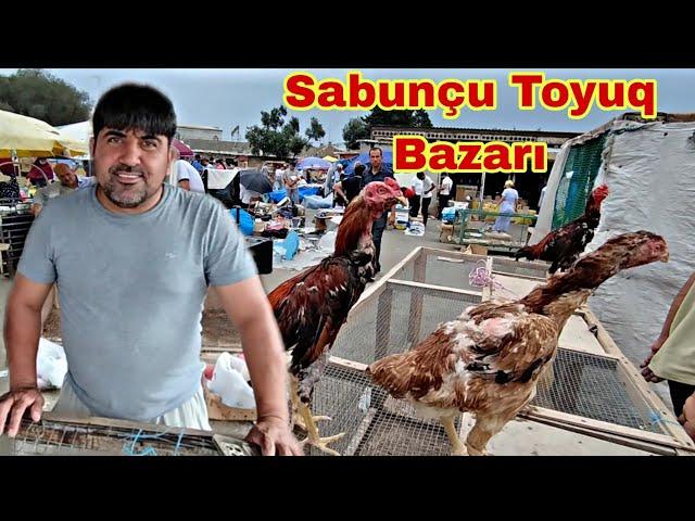 Sabunçu Toyuq Bazarı 7 İyul 2024