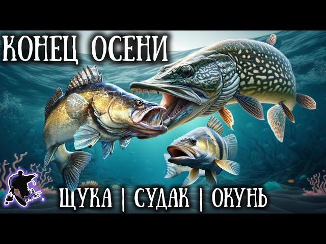 Это стоит знать каждому Рыбалка на хищника поздней осенью. Щука,судак,окунь.