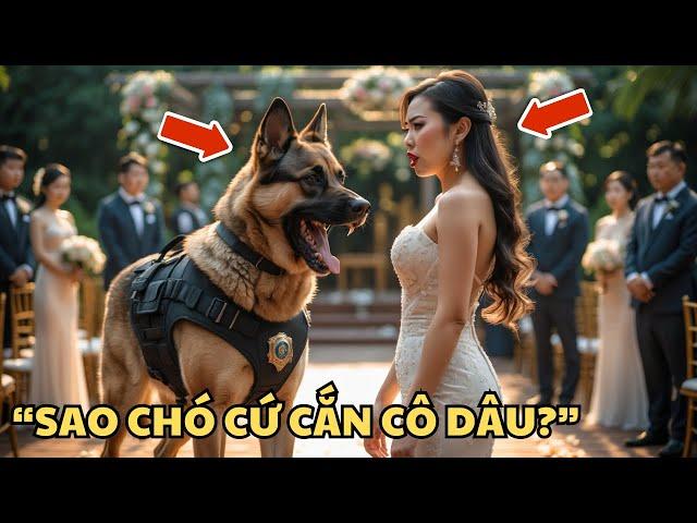 Chú Chó Bất Ngờ Cắn Cô Dâu Trong Đám Cưới Và Cứu Cả Một Cuộc Đời!