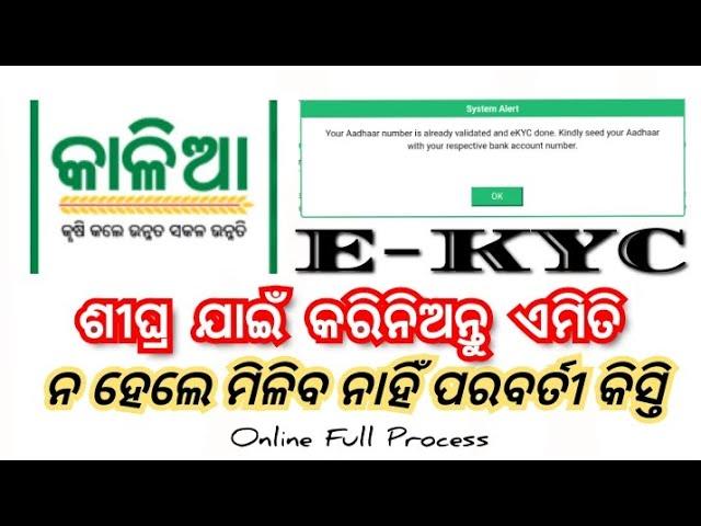 2024 Kalia Yojana E-KYC || ୨୦୨୪ କାଳିଆ ଯୋଜନା ରେ କେମିତି EKYC କରିବେ || How To Update Kalia Portal EKyc