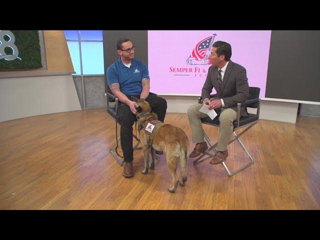 Local Veteran's bond with Service Dog; overcoming PTSD