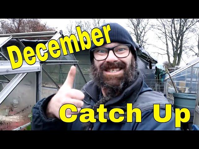 Dave's Allotment Garden. December Catch Up. Salvaging Fruit Tree's, Storm Damage Tidy Up & Tour