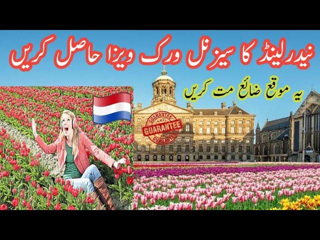 Netherland Seasonal work visa 2023