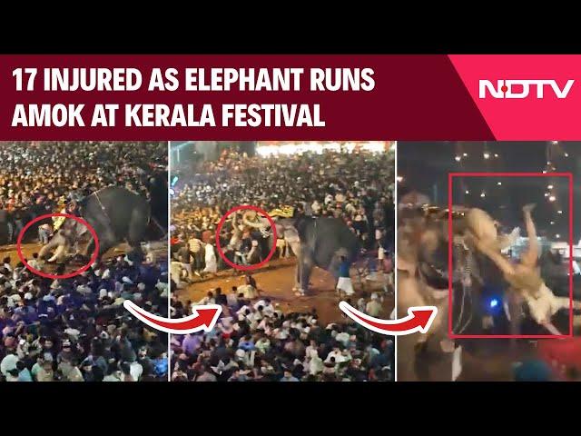 Kerala News | Elephant Gets Agitated At Kerala Festival, 17 Injured