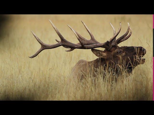 Big Game Digital Scouting Series: Tutorial 2