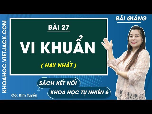 Vi khuẩn | Khoa học tự nhiên 6 - Kết nối tri thức | Bài 27 (HAY NHẤT)