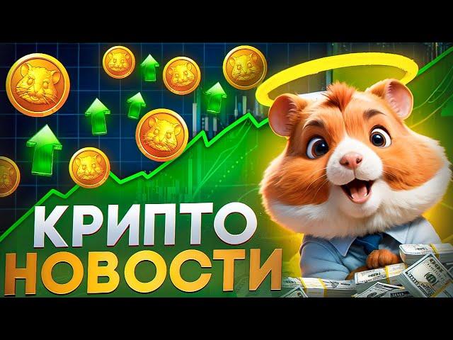 Крипто Новости: игра от Binance, листинг Hamster Kombat и котиков, фильм про Виталика Бутерина