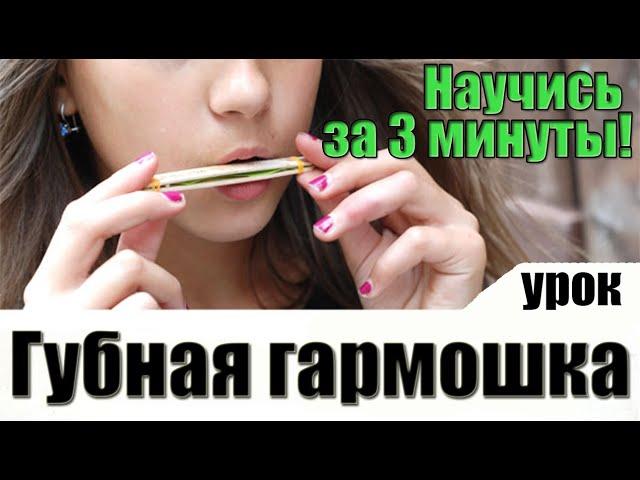 Как научиться играть на губной гармошке [УРОК] С нуля!