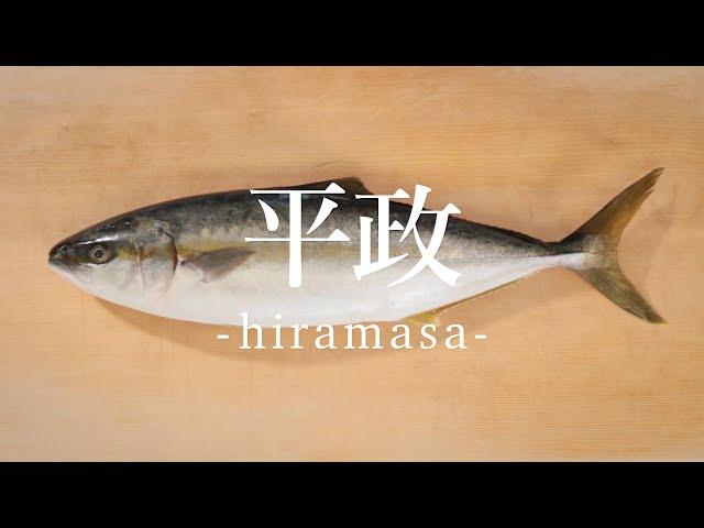 平政（ひらまさ）のさばき方 - How to filet Yellowtail Amberjack -｜日本さばけるプロジェクト（海と日本プロジェクト）