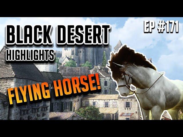 How to clear... 101 - Black Desert Highlights and Funny Moments #171 (PVP, PEN, etc)