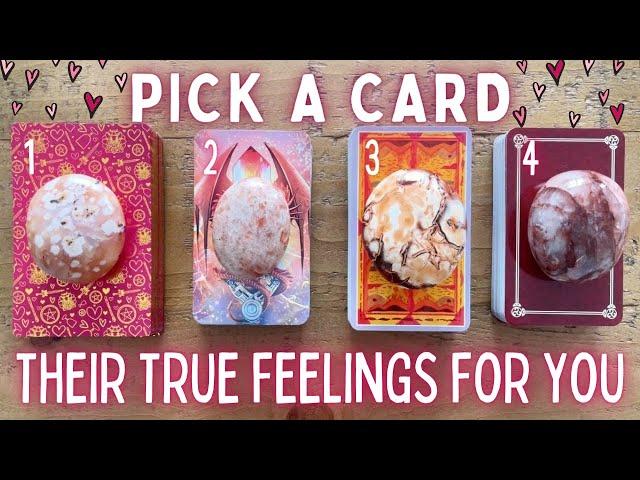 How They’re Currently Feeling About You️| PICK A CARD Timeless In-Depth Love Tarot Reading