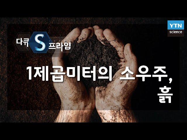 1제곱미터의 소우주, 흙 [다큐S프라임] / YTN 사이언스