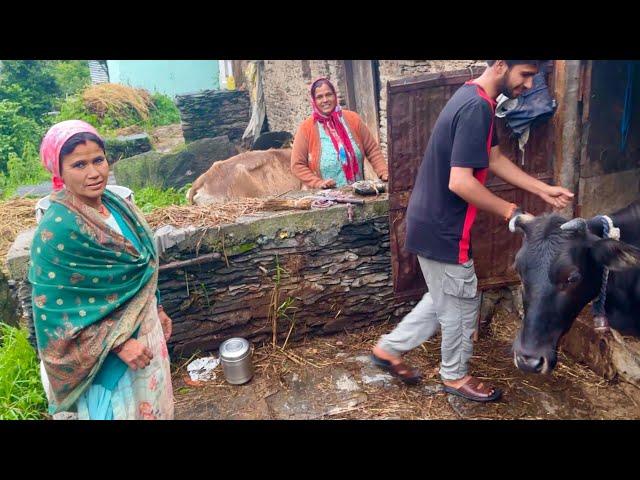 Life in Mountains and Daily Routine  || Uttarakhand Vlogs