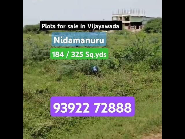 Land for sale in Vijayawada | Nidamanuru | 16500/- Sq yd | #vijayawada