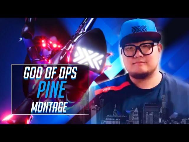 PINE DPS | LEGENDARY PLAYER OWL | Nostalgic Moments