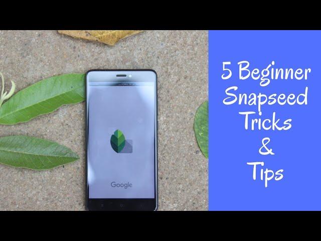 5 Snapseed Tips & tricks for beginners