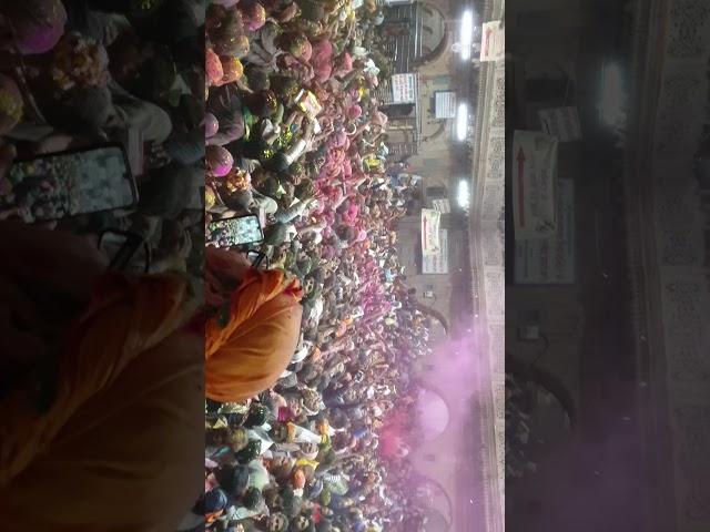 Holi celebrations in Shree Bankey Bihari Temple Vrindavan  Rangbharni ekadasi | Colors of Brijdham