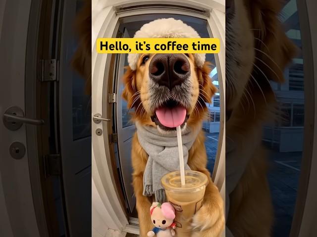 Hello, coffee time #dog #happy #cute #shorts #shortvideo #funny #fyp #life