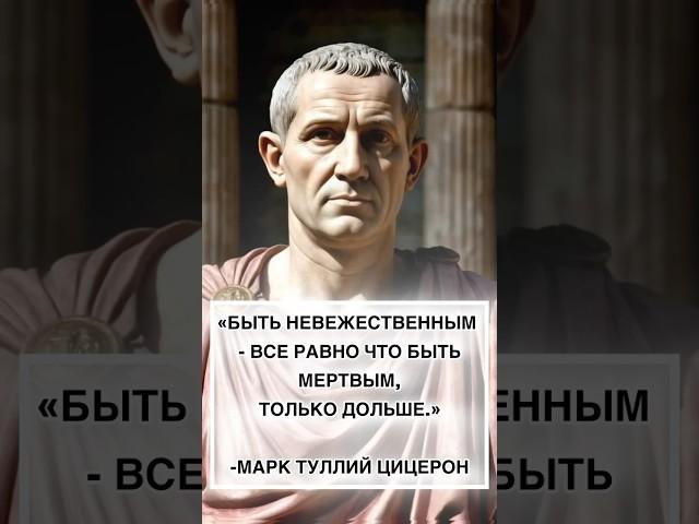 Мудрые слова #мудрость #мудрыемысли #цитатыпрожизнь #люди #цитаты #истории #философия