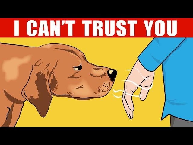 How Dogs Can Recognize a Bad Person (And Other Dog Incredible Abilities Explained)