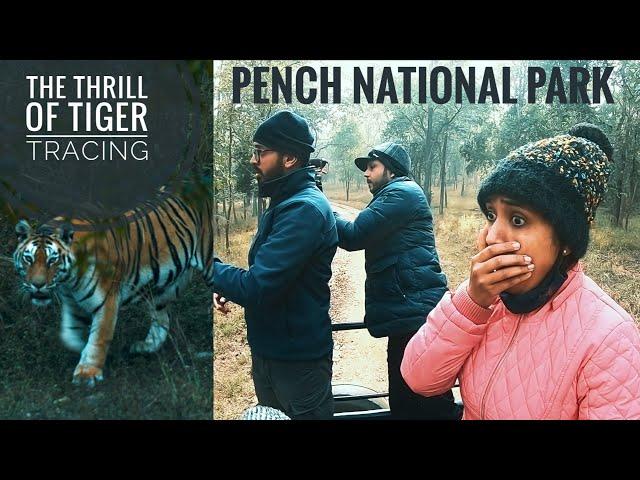 Pench National Park | Tiger Safari | Tiger Tracing | Part 1