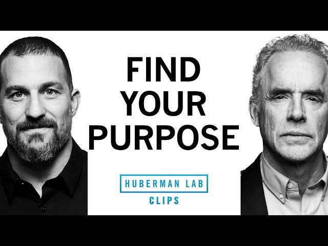 Practical Steps for Finding Your Purpose | Dr. Jordan Peterson & Dr. Andrew Huberman