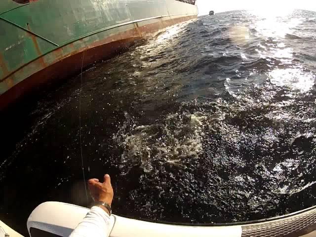 thefishstriker.com king mackeral off freighter GOPR0233