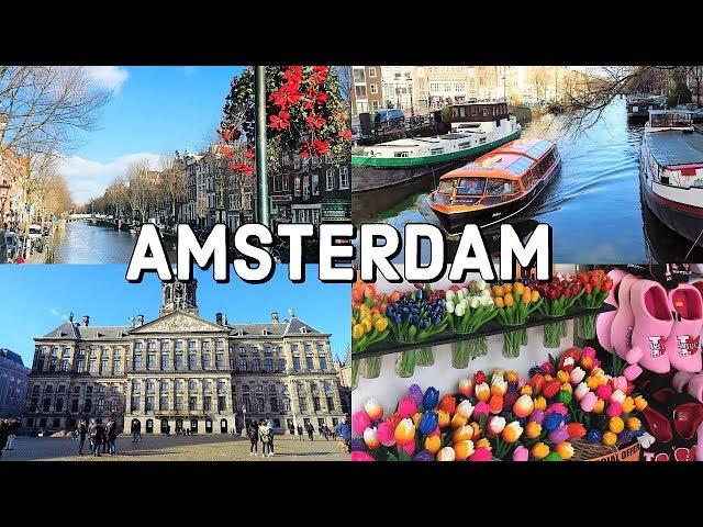 AMSTERDAM City Tour / The Netherlands