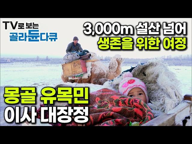 가축 600마리 데리고 -20℃ 눈보라 치는 설산 넘어 푸른 목초지 찾아 떠나는 생존을 위한 여정┃가을부터 봄까지 몽골 유목민 가족의 이사 대장정┃다큐프라임┃#골라듄다큐